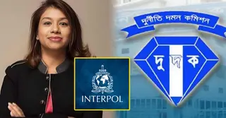 টিউলিপকে ফেরাতে ইন্টারপোলের সহায়তা নেবে দুদক